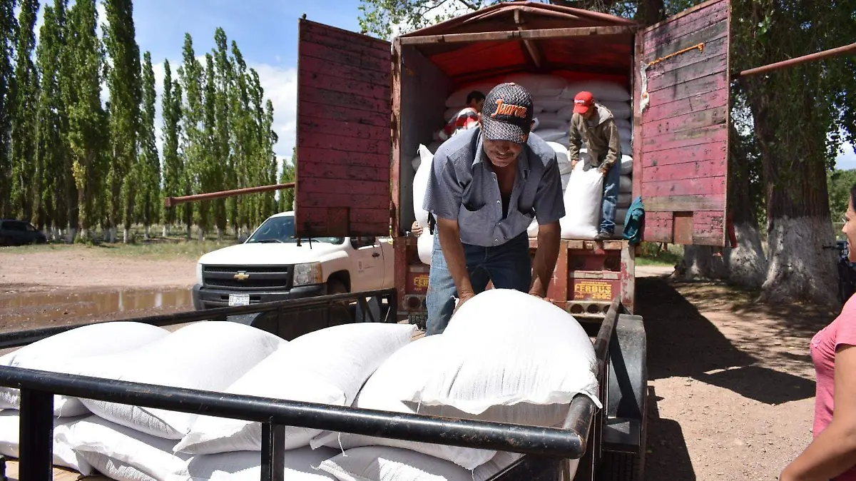 1 Entregan 60 toneladas de avena subsidiada en Guerrero